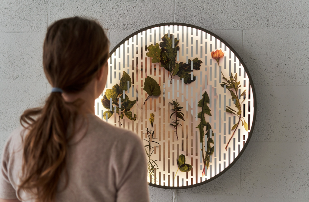 Apgyvendinti meną namuose: dizainerės Julijos Pociūtės kurtas šviestuvas-veidrodis ,,Herbariumas“